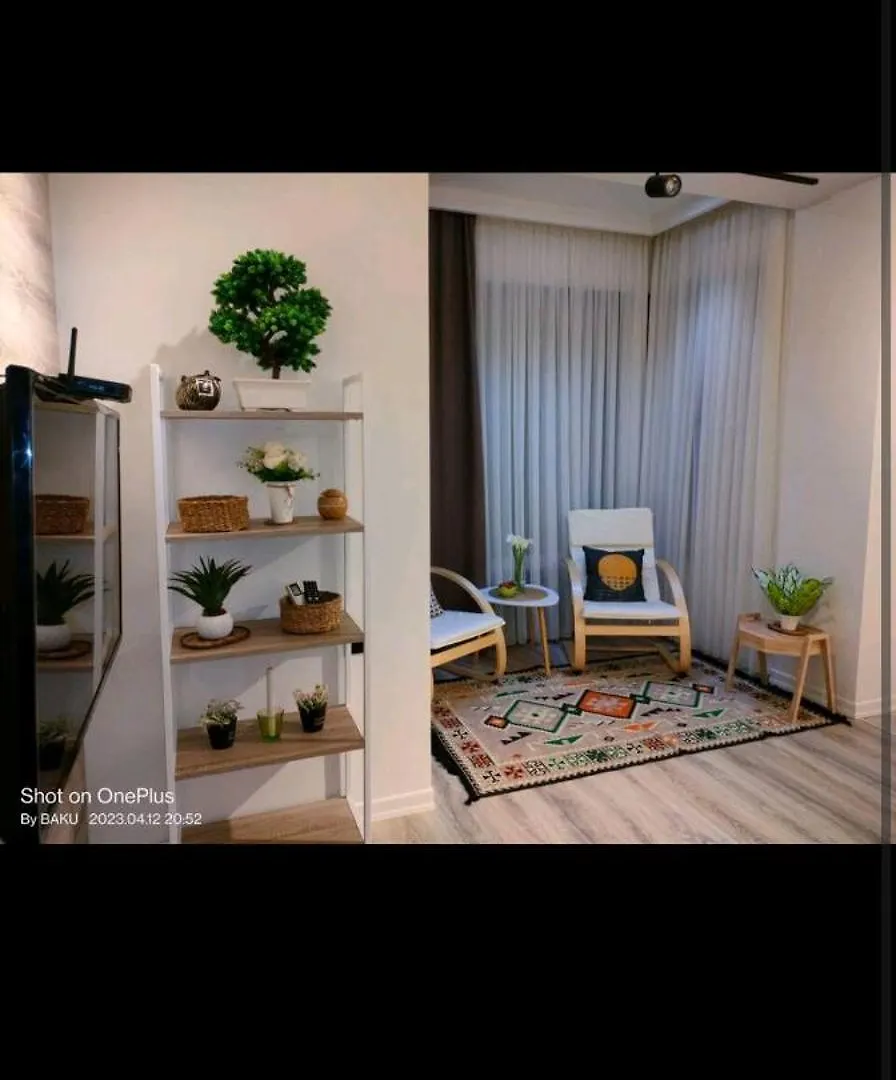 Cozy Central Baku Apartment